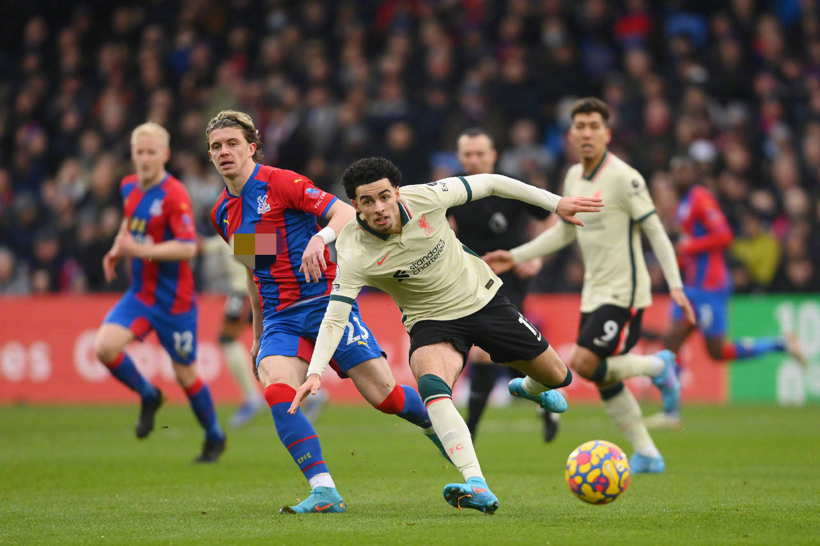 主要原因无 主要原因无